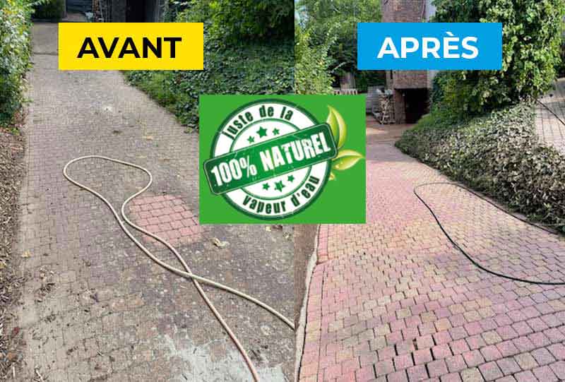 Nettoyage des extérieurs - Firmedéco Rénovation en Belgique : Klinker, pierre bleue, dallage, terrasse, muret, terrasse ... Résine hydrofuge ... en Belgique : région Flamande, Wallonne et Bruxelles …