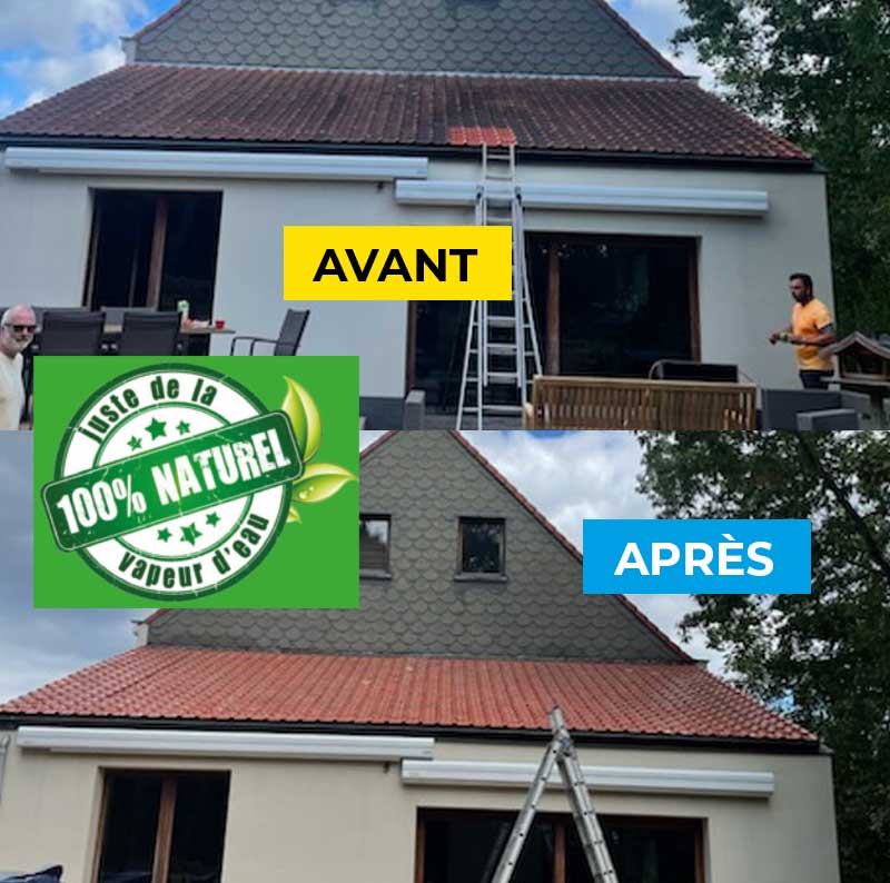 Nettoyage et démoussage toiture - Firmedéco Rénovation en Belgique : Nettoyage et démoussage toiture par vapeur d’eau et peinture hydrofuge colorée toiture. Intervention en Belgique : région Flamande, Wallonne et Bruxelles …