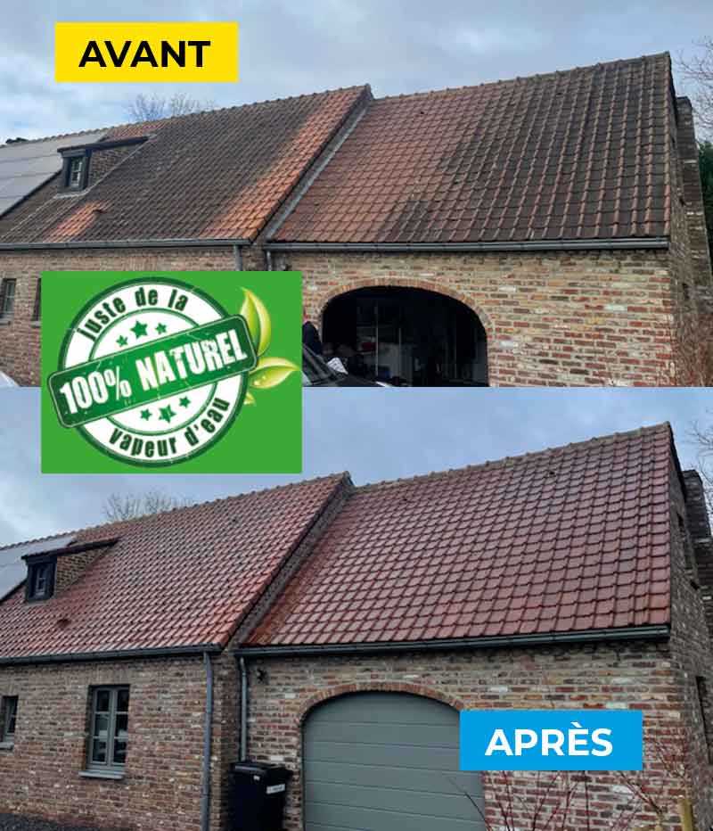Nettoyage et démoussage toiture - Firmedéco Rénovation en Belgique : Nettoyage et démoussage toiture par vapeur d’eau et peinture hydrofuge colorée toiture. Intervention en Belgique : région Flamande, Wallonne et Bruxelles …