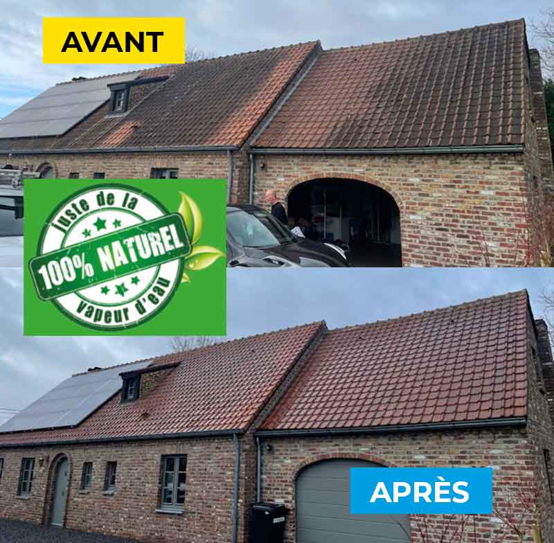 Nettoyage et démoussage toiture - Firmedéco Rénovation en Belgique : Nettoyage et démoussage toiture par vapeur d’eau et peinture hydrofuge colorée toiture. Intervention en Belgique : région Flamande, Wallonne et Bruxelles …