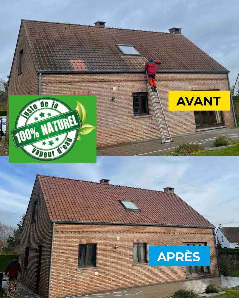 Nettoyage et démoussage toiture - Firmedéco Rénovation en Belgique : Nettoyage et démoussage toiture par vapeur d’eau et peinture hydrofuge colorée toiture. Intervention en Belgique : région Flamande, Wallonne et Bruxelles …
